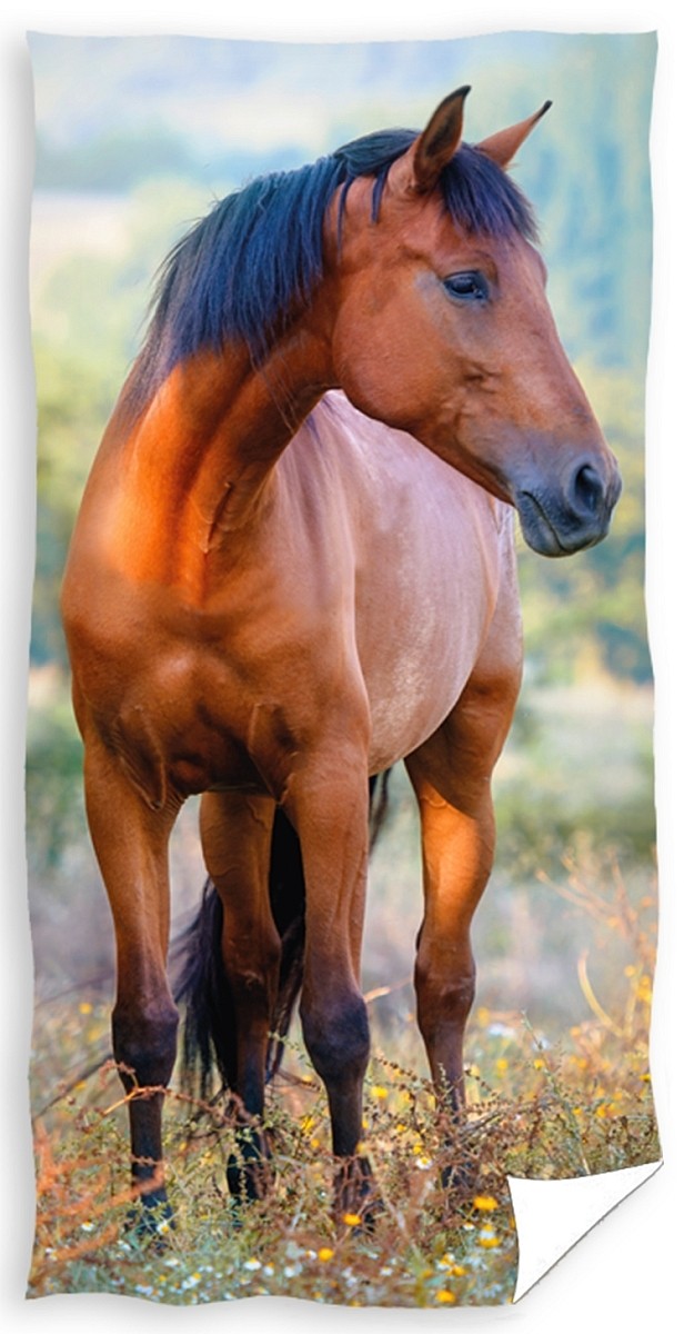 E-shop Rozprávkový bavlnený uterák s koňom Šírka: 30 cm | Dĺžka: 50 cm