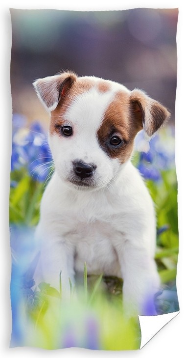 E-shop Bavlnená osuška so malým šteniatkom 70x140