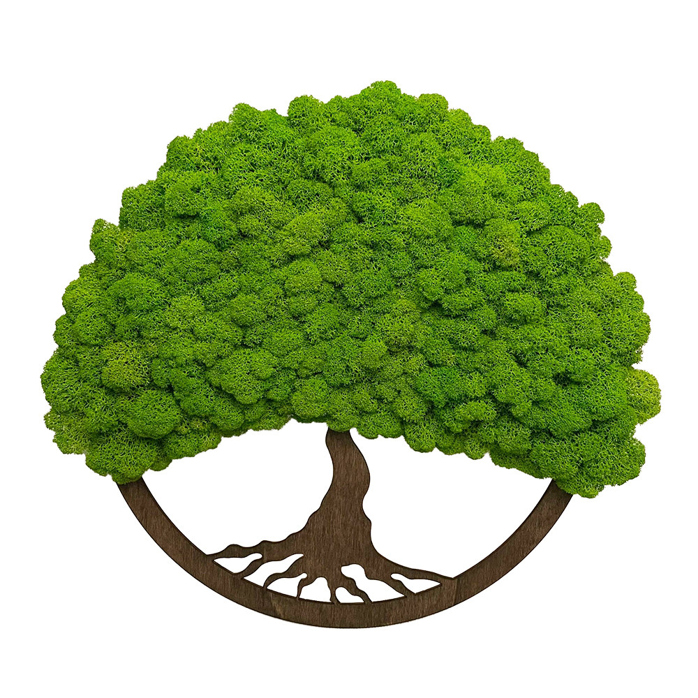 E-shop Nástenný obraz machový strom života 50 cm