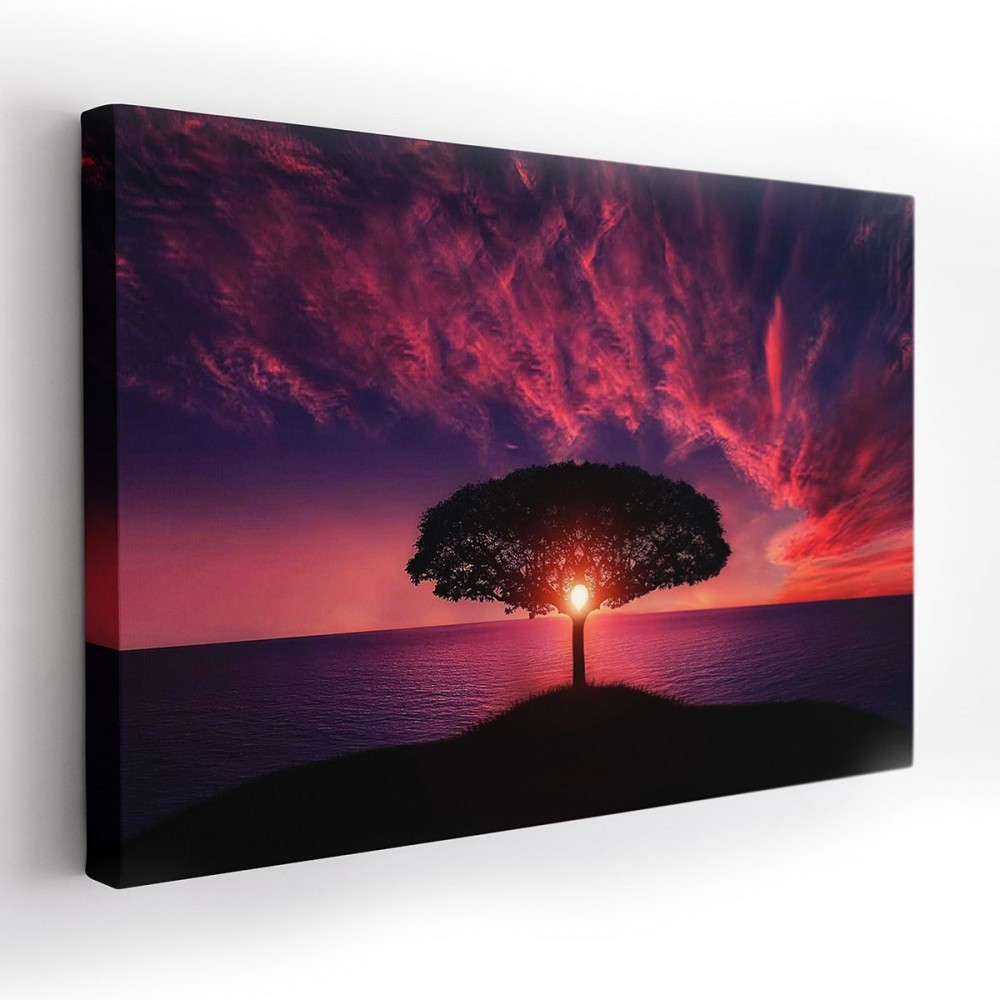 E-shop Kvalitný obraz na plátne s motívom stromu pri západe slnka