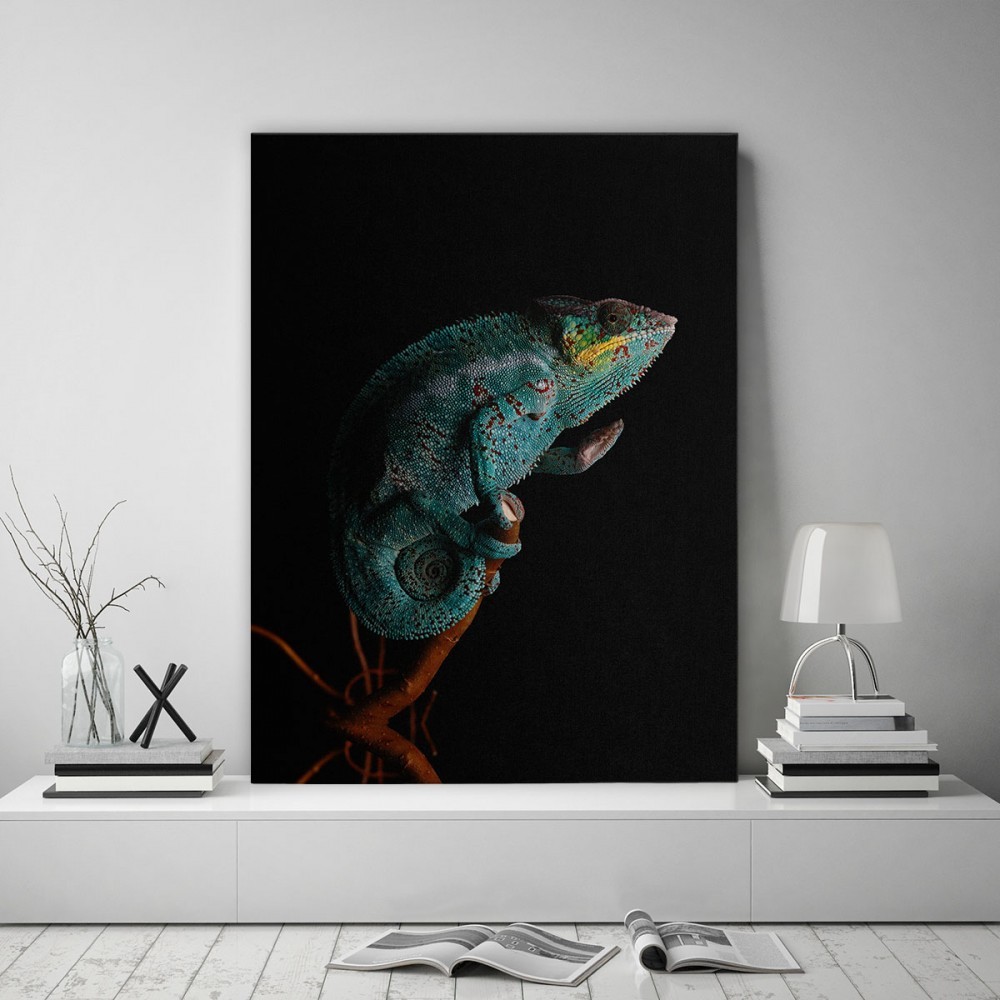 E-shop Obraz na plátne s motívom chameleóna