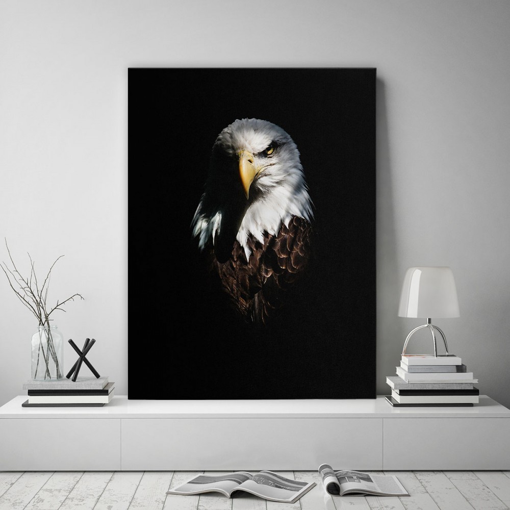 E-shop Kvalitný obraz na stenu s motívom orla