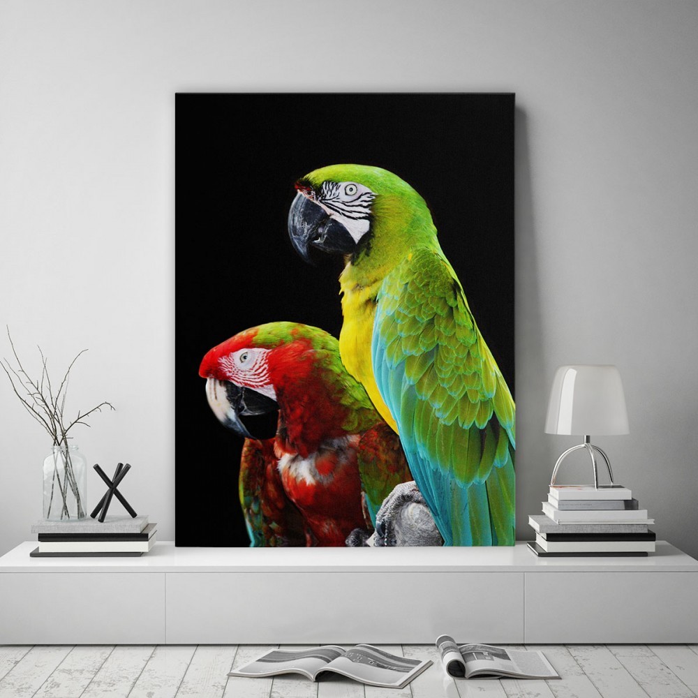 E-shop Obraz s motívom papagájov s čiernym pozadím